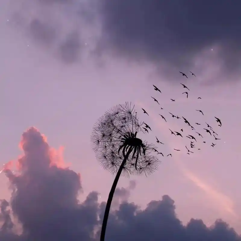 朋友圈背景图ins超清唯美封面图好看到爆