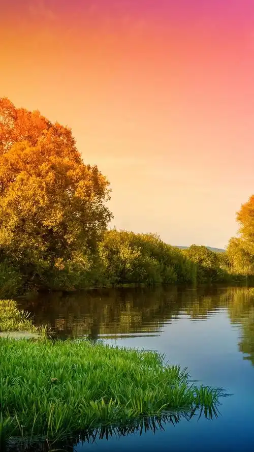 "纯绿色"自然风景高清手机壁纸