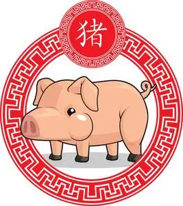 中国十二生肖-猪照片