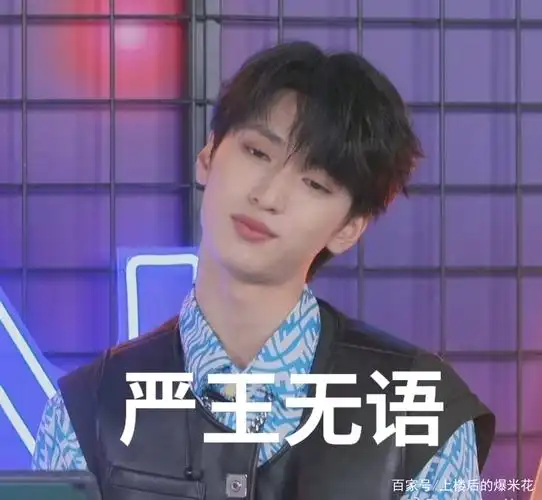 时代少年团严浩翔生日直播表情包合集