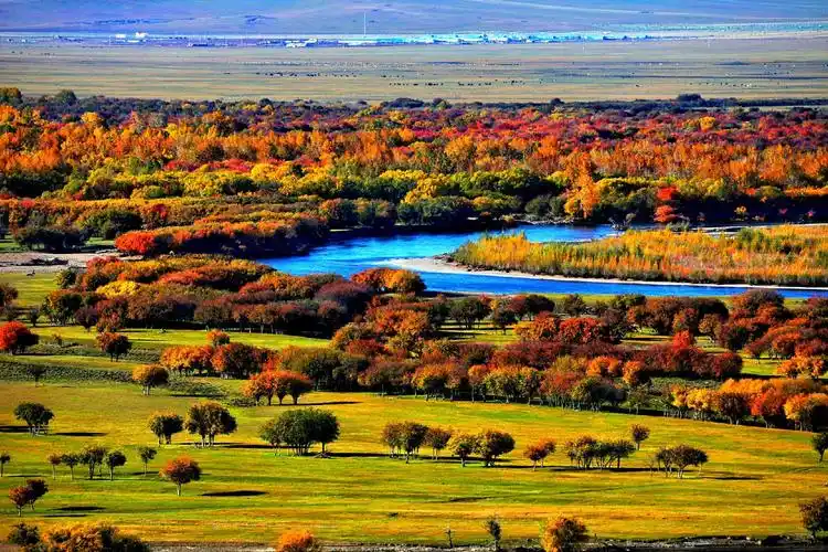 走进金秋呼伦贝尔