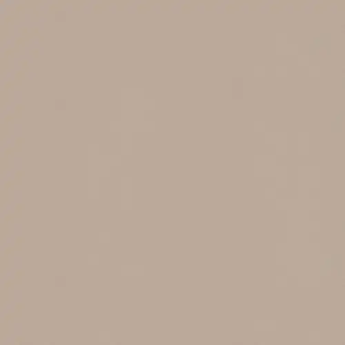 tj-dtj006   磨砂卡其金