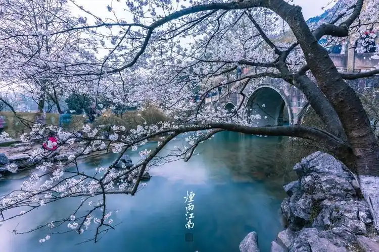 烟雨江南【美图共赏】 - 白石秋水 - 白石秋水