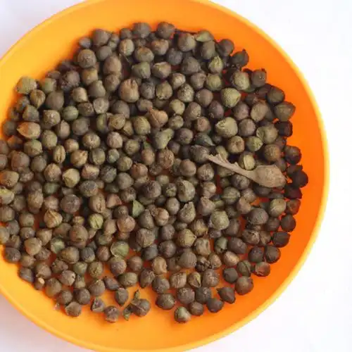 批发新采摘林木种子榉树种子大果榉树种子保证质量量大优惠