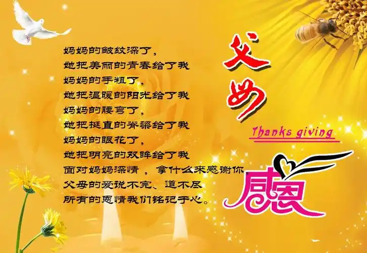 文字图片,文字,感谢,爸妈,养育感恩父母趴