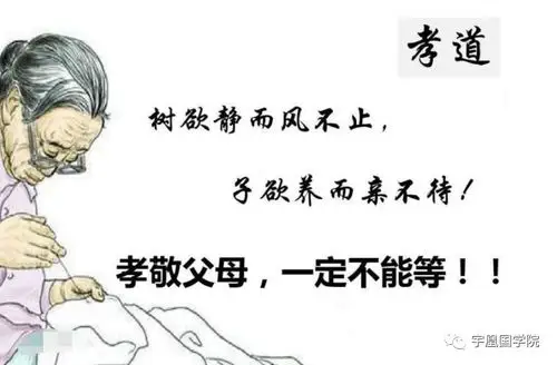 从国学小故事中体悟尽孝要趁早-品牌动态-民族品牌网