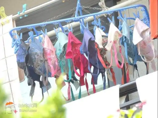 日本2ch网民:邻家的女大学生晒了很多胸罩