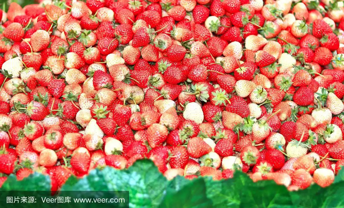 红色和粉色的草莓放在一起