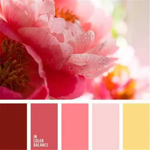 干货| 炎炎夏日 这样配色最清凉哦