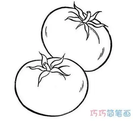 西红柿 简笔画
