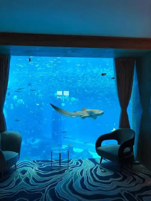 十万一晚的三亚61亚特兰蒂斯值不值得来超全揭秘了解一下