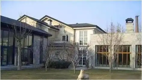 王中军还有一个独特的爱好,那就是在全球范围内搜寻并拥有顶级豪宅