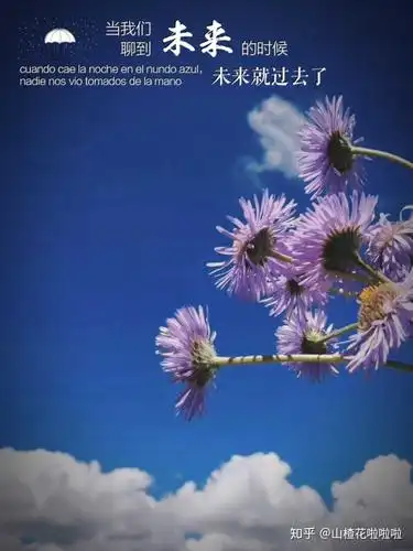 希望一切都不是我想象的那样