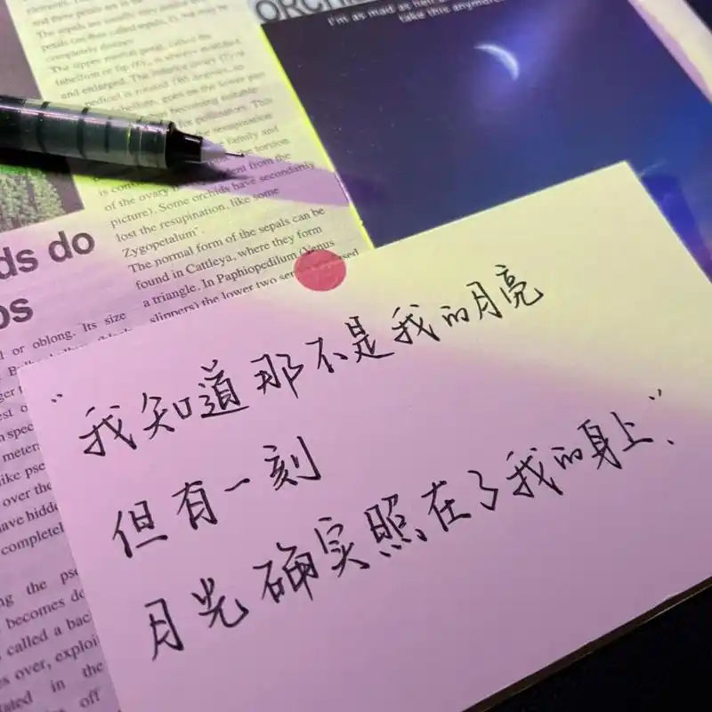 但有一刻,月光确实照在了我身上"#文案#今日文案#文字#手写#情感语录