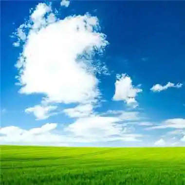 阳光好运的微信头像图片 微信头像图片大全 -【爱个性】