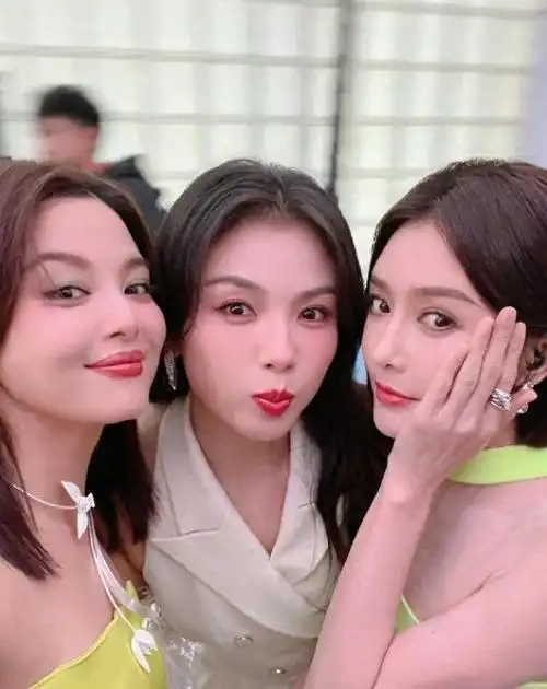 明星同框刘涛秦岚辛芷蕾同台亮相同色系穿搭吸睛焦点