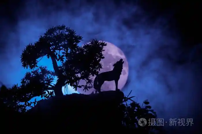 嚎叫狼的剪影对黑暗色调的雾背景和满月或狼在剪影嚎叫到满月万圣节