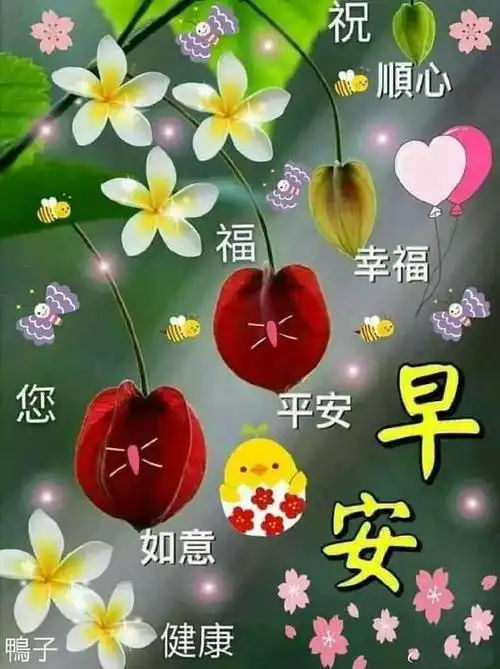 早安吉祥:好运自然到,简单问候到,快乐好心情,早安
