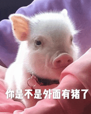 无论你多帅多有钱多才华,我都是你无法得到的女人表情包 - 表情图