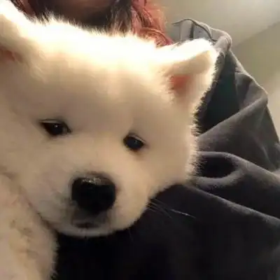 一看就有病的沙雕头像