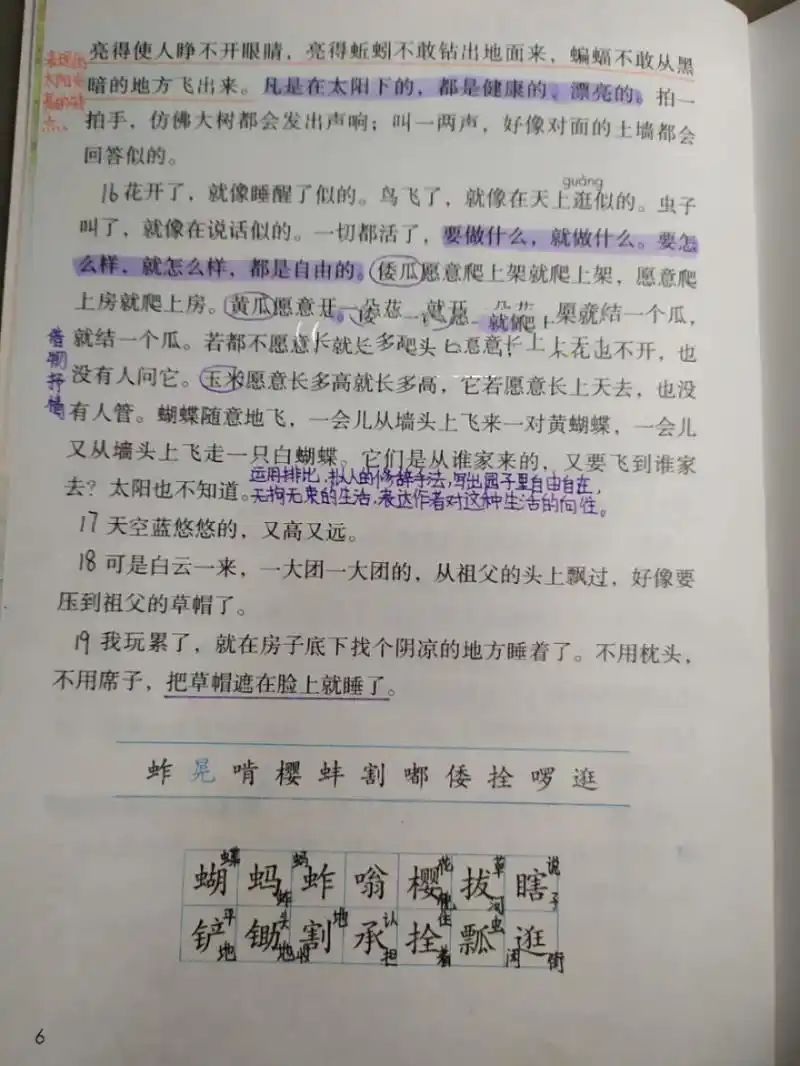 《祖父的园子》课文笔记 更新啦更新啦,这是下册第二课笔记 第一课