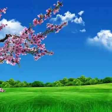 很有质感很精致的风景招财头像_风景头像_美头网