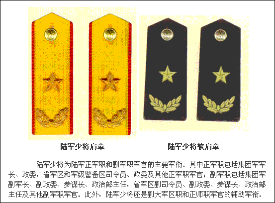 陆军少将肩章.gif