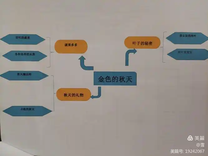 秋天是一个美丽的季节,阳光明媚,树叶黄了,一片一片从树上落下来