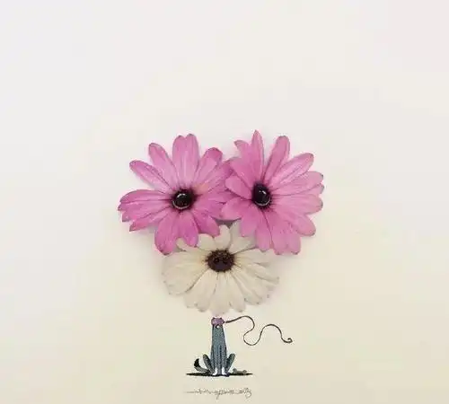 朋友圈晒花的唯美句子配图