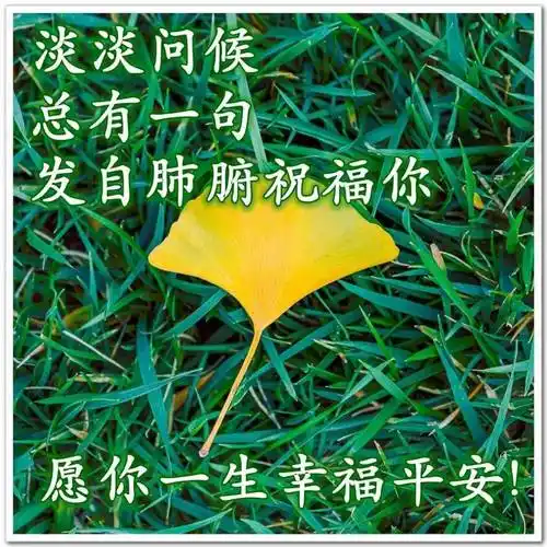 原创8张最美秋天风景早安图片带字带祝福语2021好看的秋日早上好问候