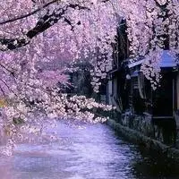 微信头像文艺清新风景_小清新风景微信头像