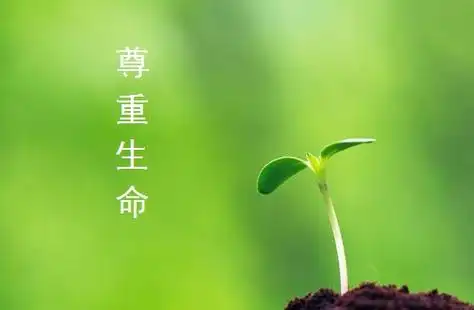 尊重生命.jpg