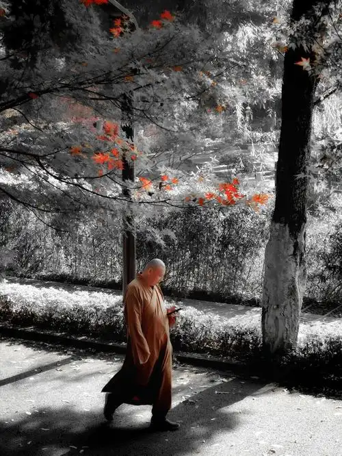 当代僧人 - 摄影师partook - 图虫