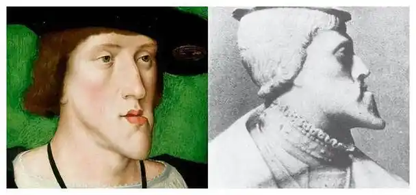 200年的乱伦史,制造出了一堆鞋拔子脸,也因此葬送了整个王朝