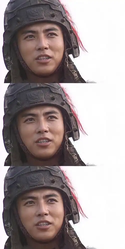 "很多年以后, 白发上头的姜维.