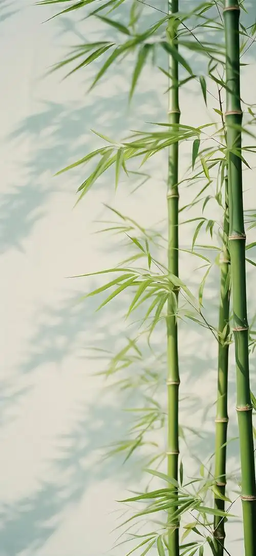 壁纸 风景 植物 桌面 690_1496 竖版 竖屏 手机