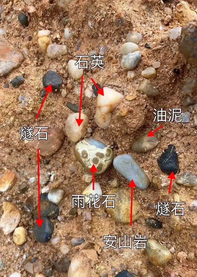 河边捡石头  - 抖音