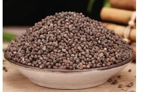 老是感冒,发烫有汗者不适合同吃鲫鱼苏子籽和鲫鱼是两个相冲食材,他们