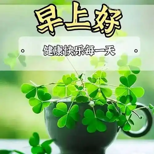 最新精选暖心早上好问候句子,每天问候,早安吉祥_祝福_生活_朋友