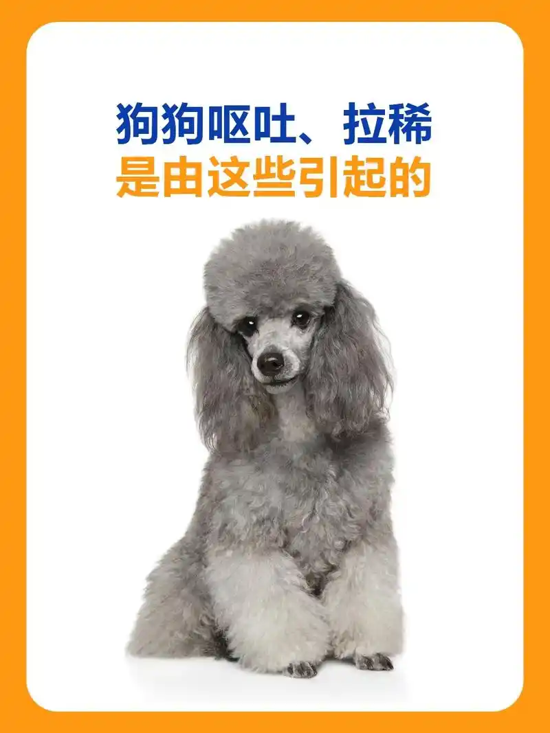 抖音图文来了 狗狗呕吐拉稀的原因,帮你整理好啦!#狗狗呕吐 - 兑趑