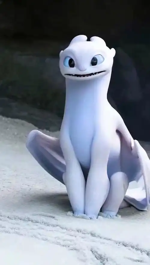 dragon 夜煞 示爱