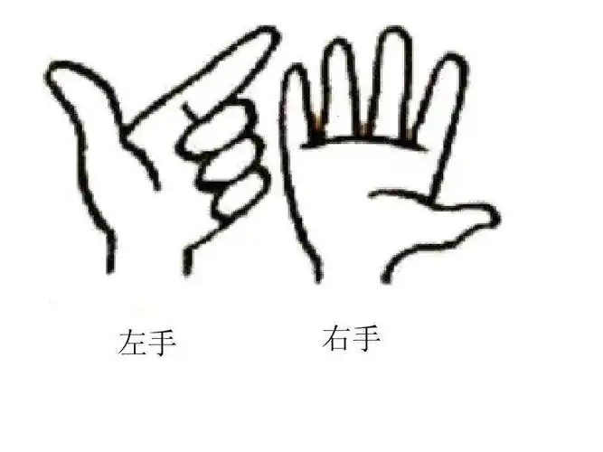 24 写美篇活动目标: 1,以自身为中心区分自己身体的左右,分清自己的