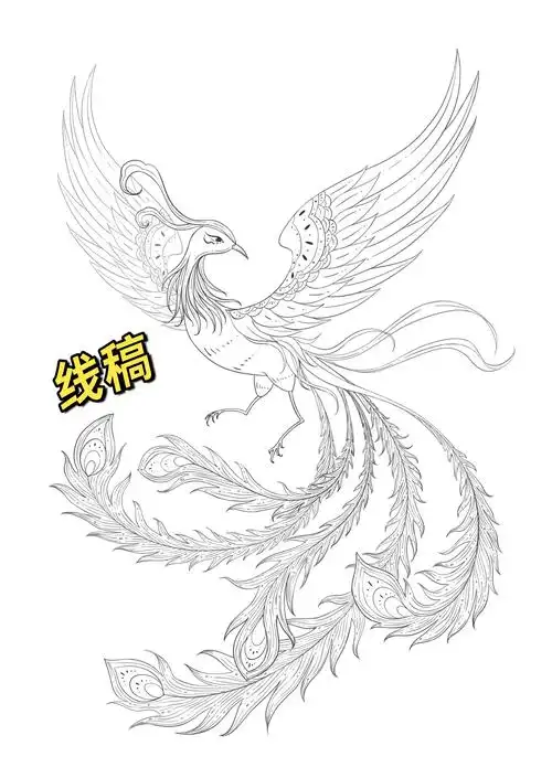 勤明国风课之画凤凰