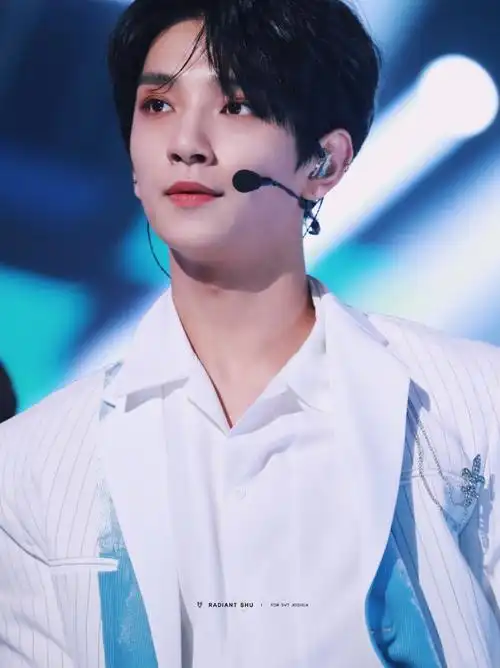 seventeen joshua 洪知秀