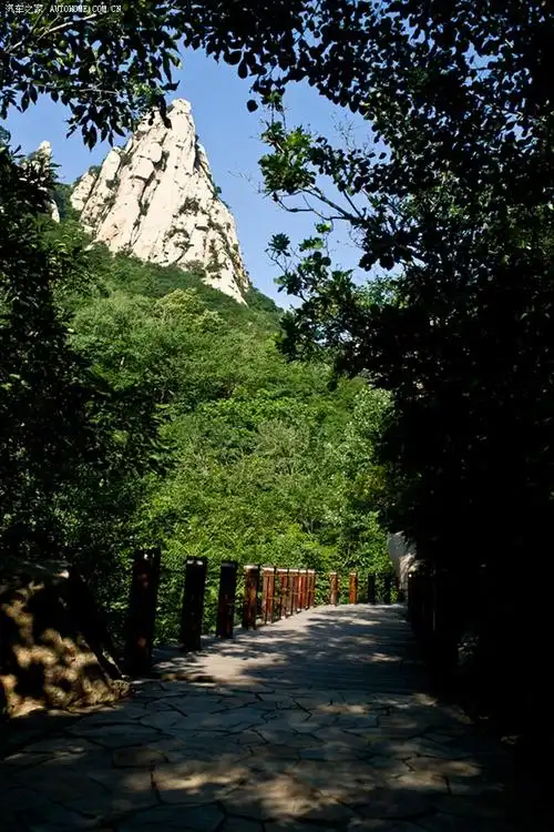 祖山风景区看山河壮丽赏木兰高雅