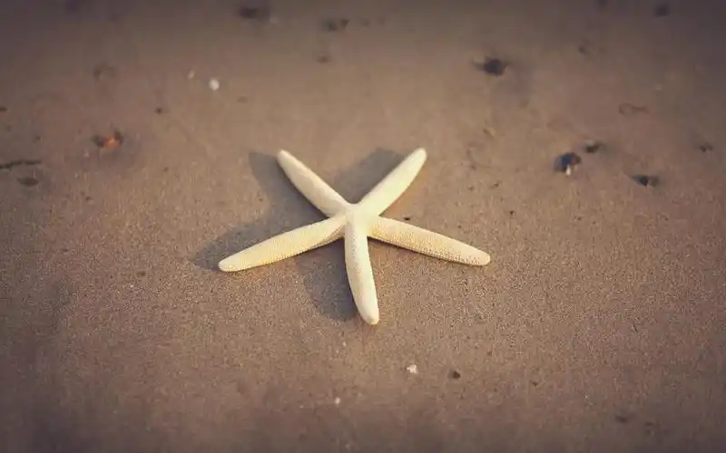 夏天细沙海滩唯美图片桌面壁纸