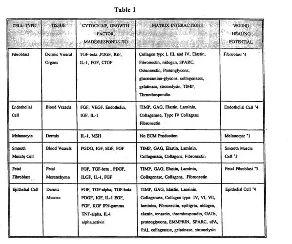 abbreviation glossary