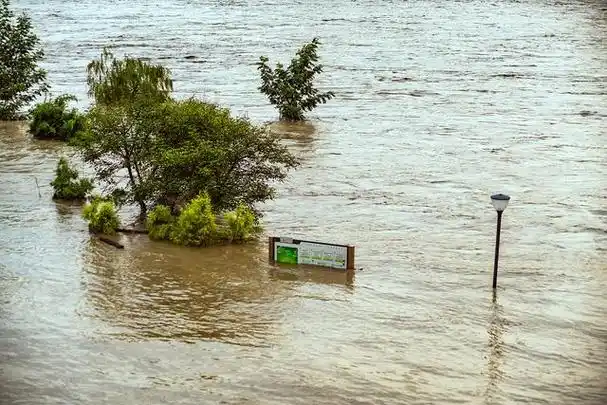 为了应对这次灾害,河北省政府启用了7处蓄滞洪区,并转移了84.74万