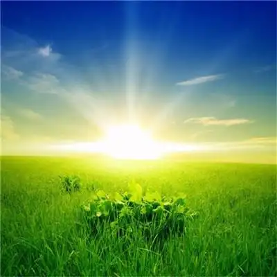 2021带来好运的微信头像图片 漂亮高清