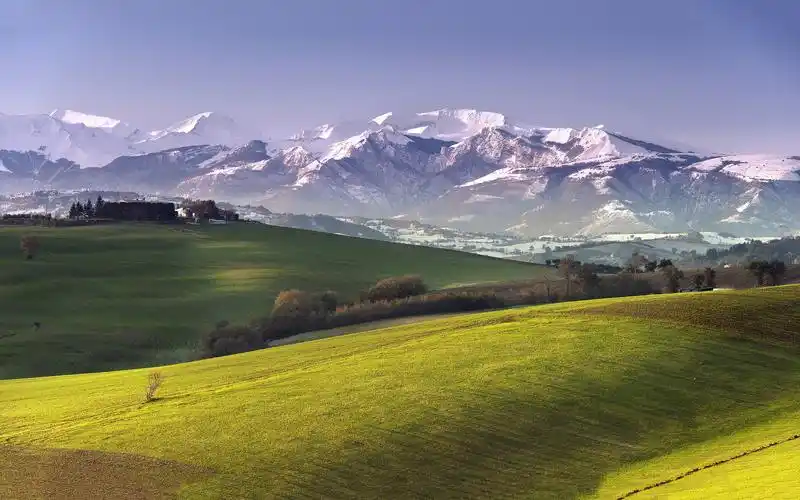 草原,雪山,树木,天空,乡间,田野,安静,风景草原壁纸图片
